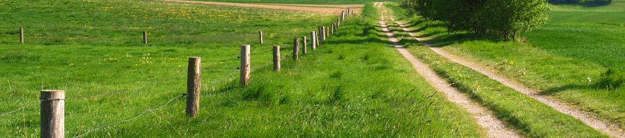 conni_eyrich_0020_Ebene 6.jpg